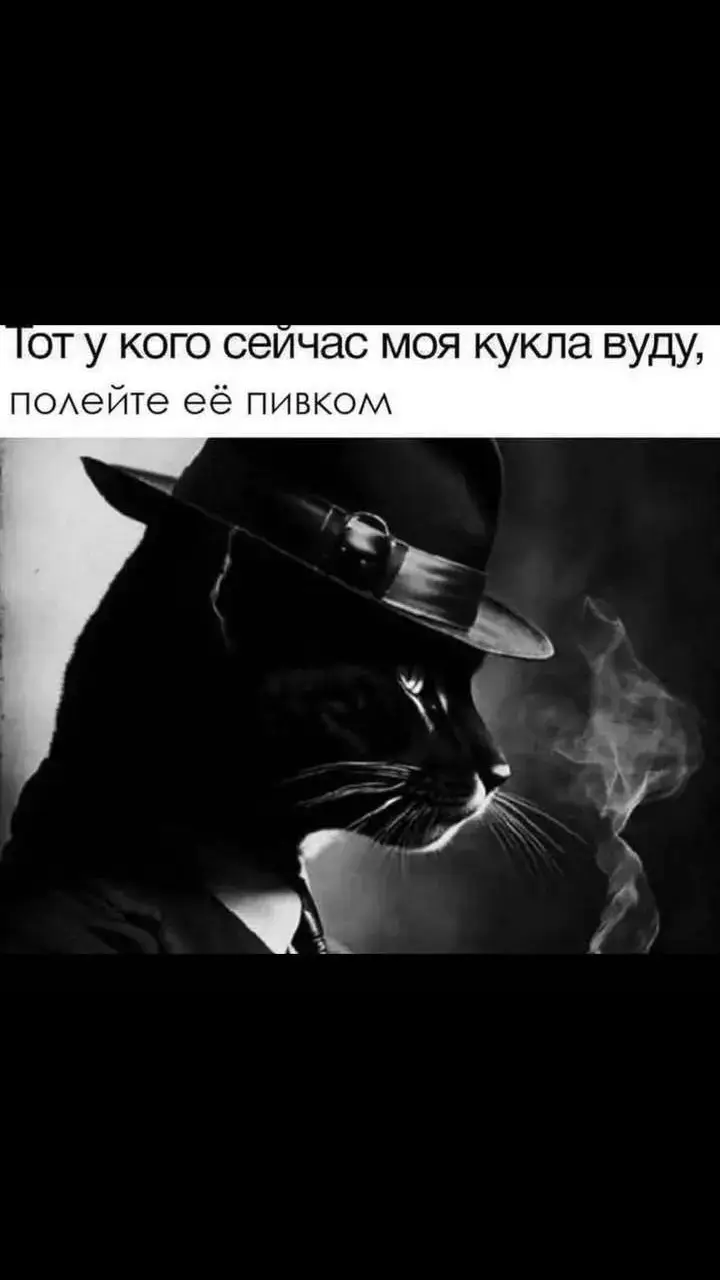 от души 🖤 #мем #кот #брат #пиво 