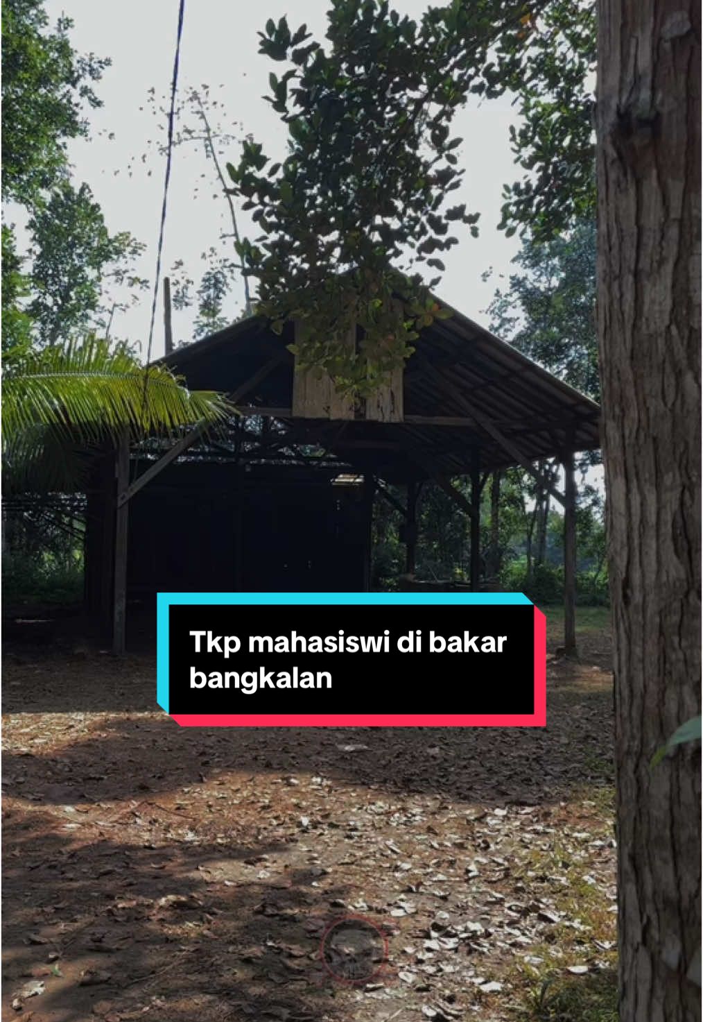 Tempat mahasiswi di bakar di bangkalan #mahasisiwiutm #maduraviral #maduratrending #perempuandibakar #utm #rambuteen #een #lainsisi 