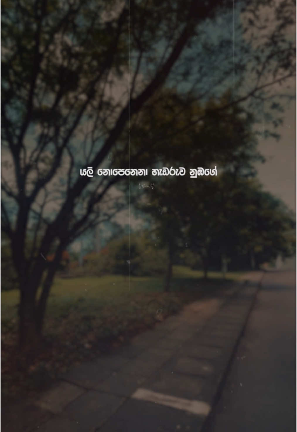 යලි නොපෙනෙනා හැඩරුව නුඹගේ💔💔 #mihiran #ushan_s #fyp #foryoupage #lyricalvideo #viral #trending @Mihiran 