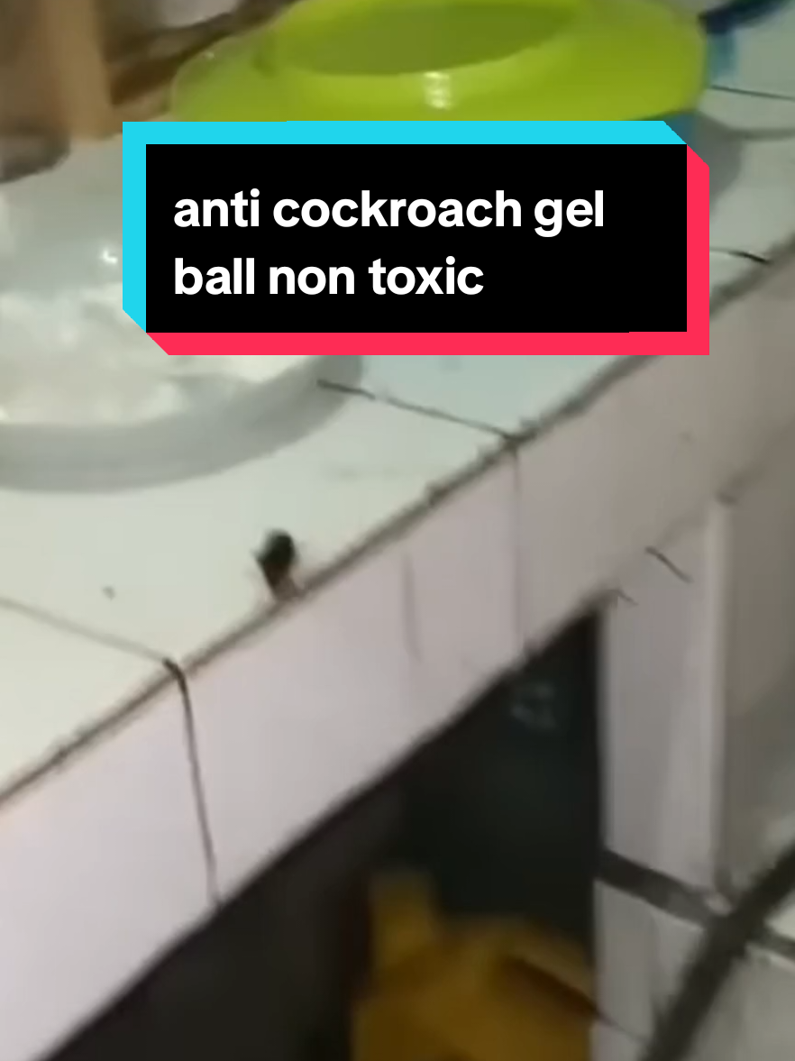 new 180day powerfull anti cockroach gel ball non toxic odorless safer cockroach magic box #anticockroach #anticockroachgelball #tiktoklongervideos #tiktokviralvideo #tiktokshopph #tiktokfyp #TikTokPromote 