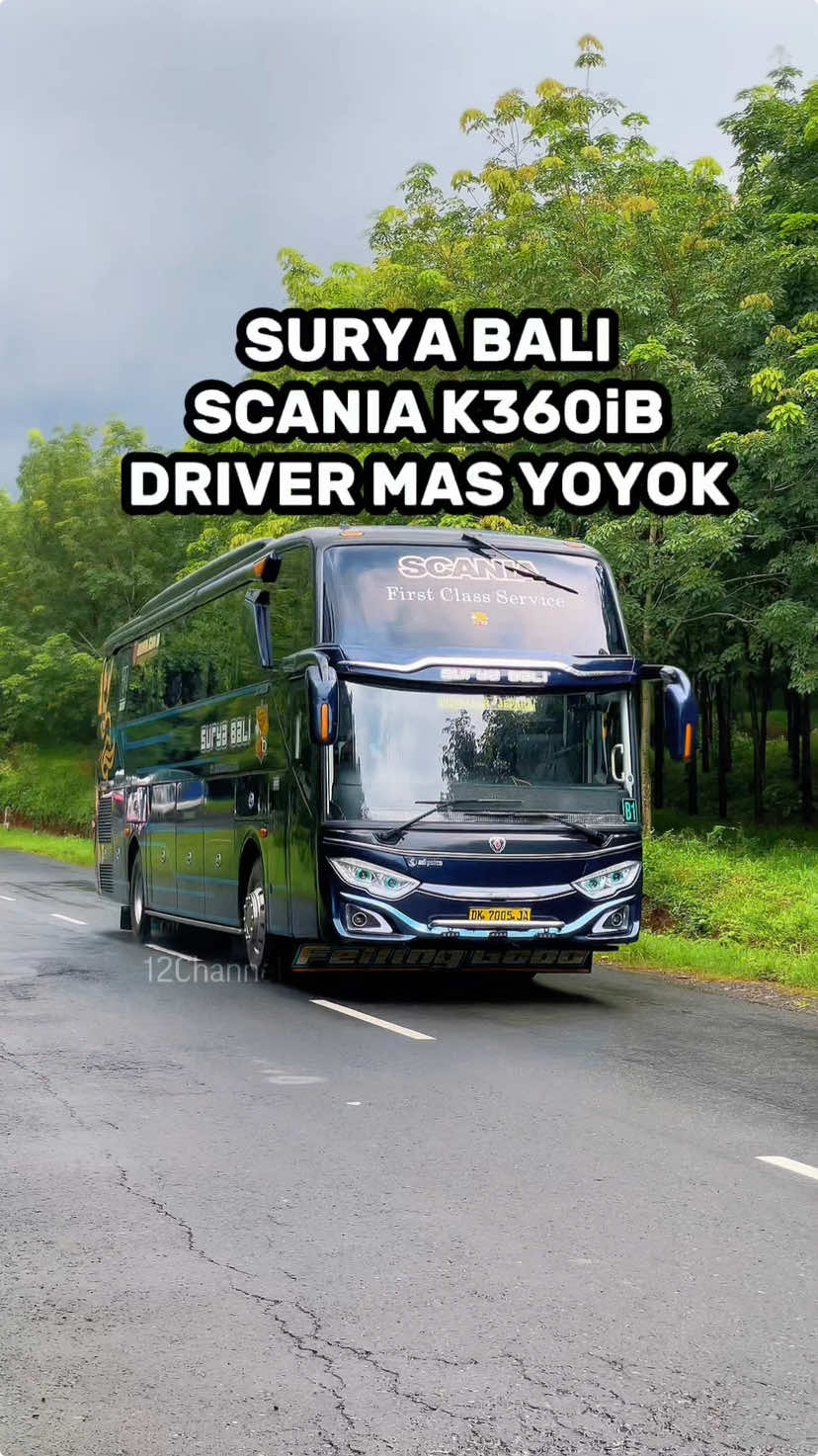 SURYA BALI SCANIA K360iB DRIVER MAS YOYOK BERANGKAT TERLAMBAT EFEK MACET KECELAKAAN BERUNTUN DI SITUBONDO