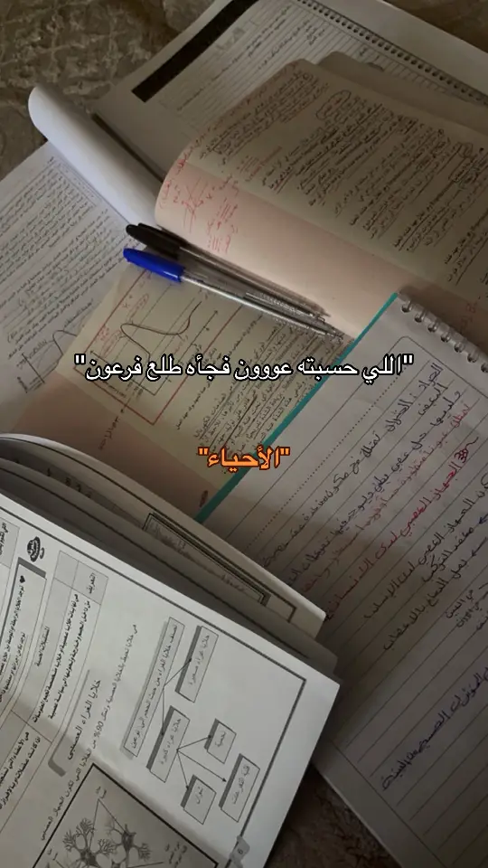 #مالي_خلق_احط_هاشتاقات🧢 #سينيور 💔.