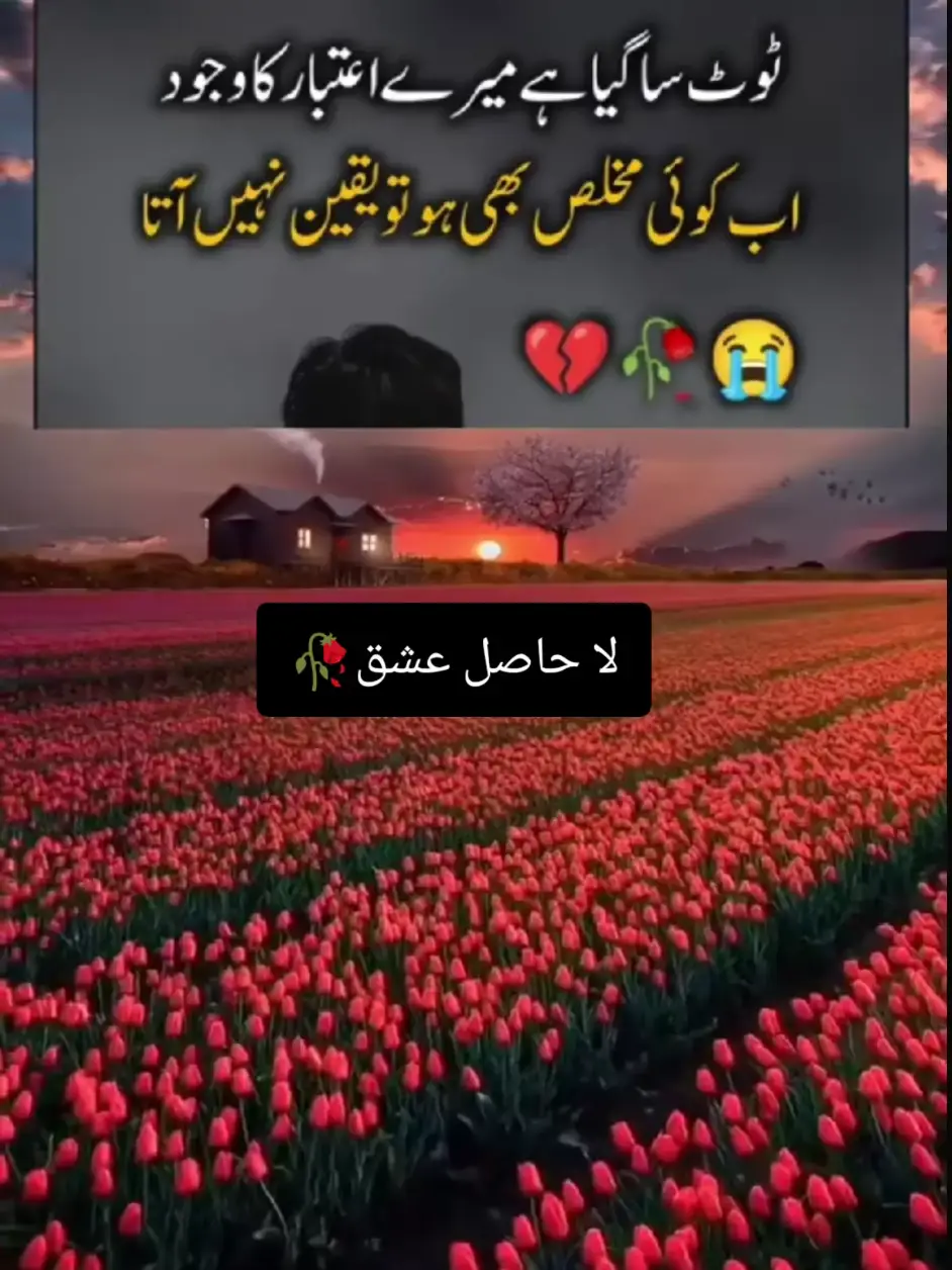 لا حاصل عشق 🥀