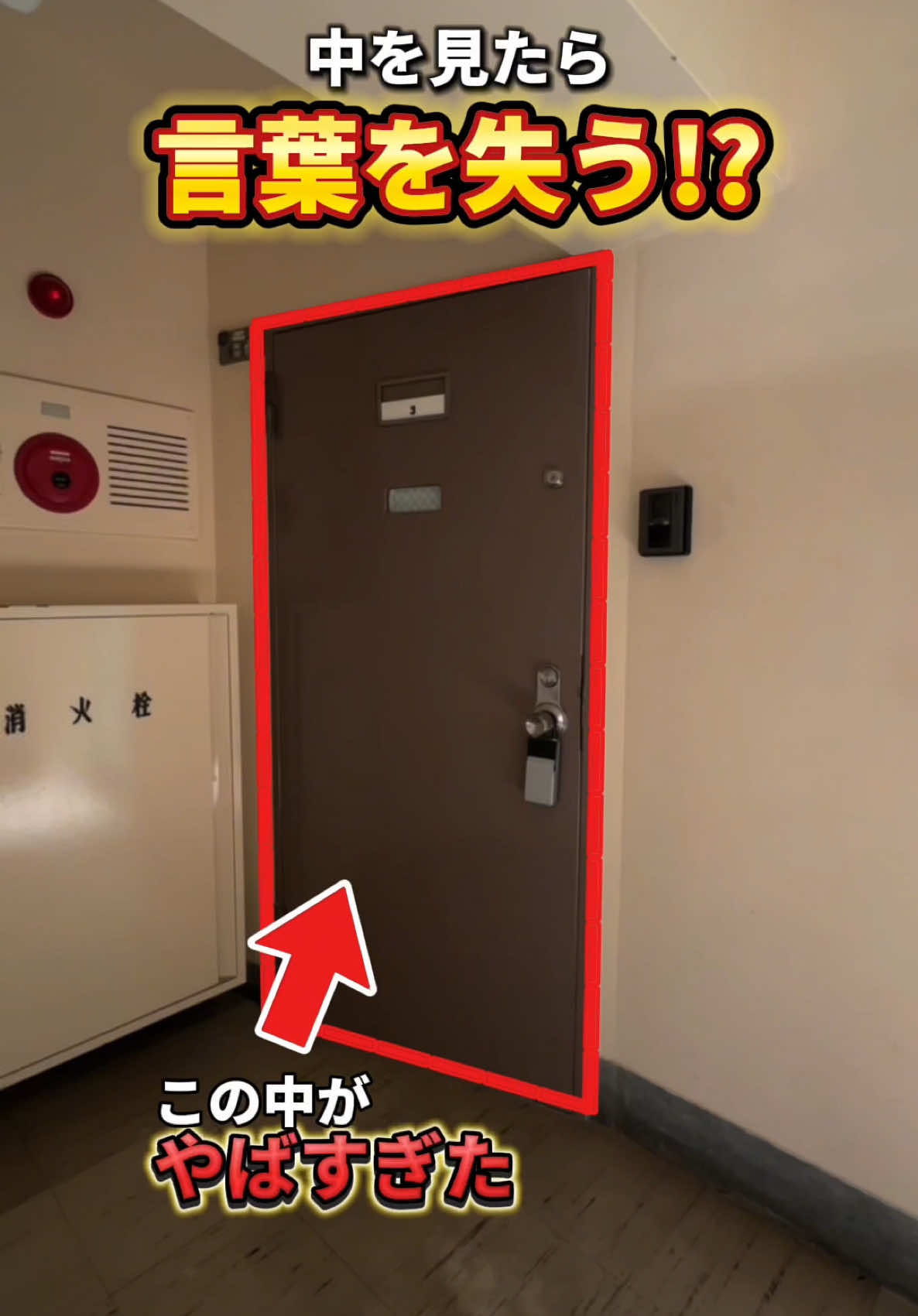 この物件からこんな部屋が出てくるなんて誰か想像できた？？ #不動産 #売買物件 #リノベ #内見 