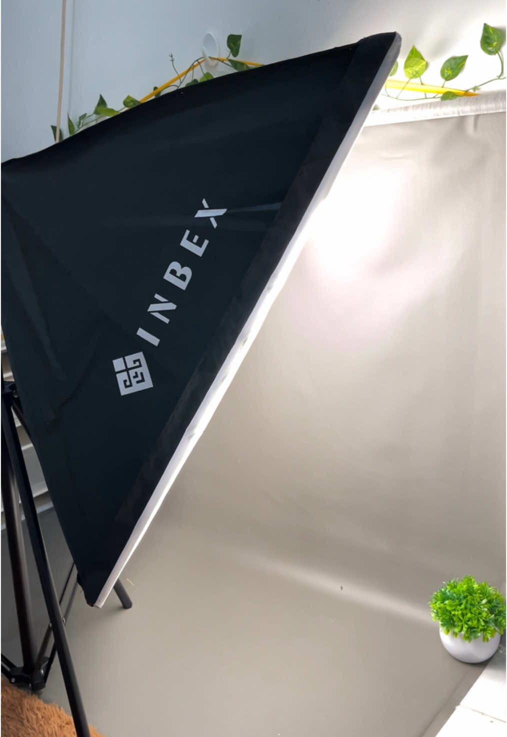 Join this trend ✨Mini studio version 💖 . . . #inbex #softbox #lighting 