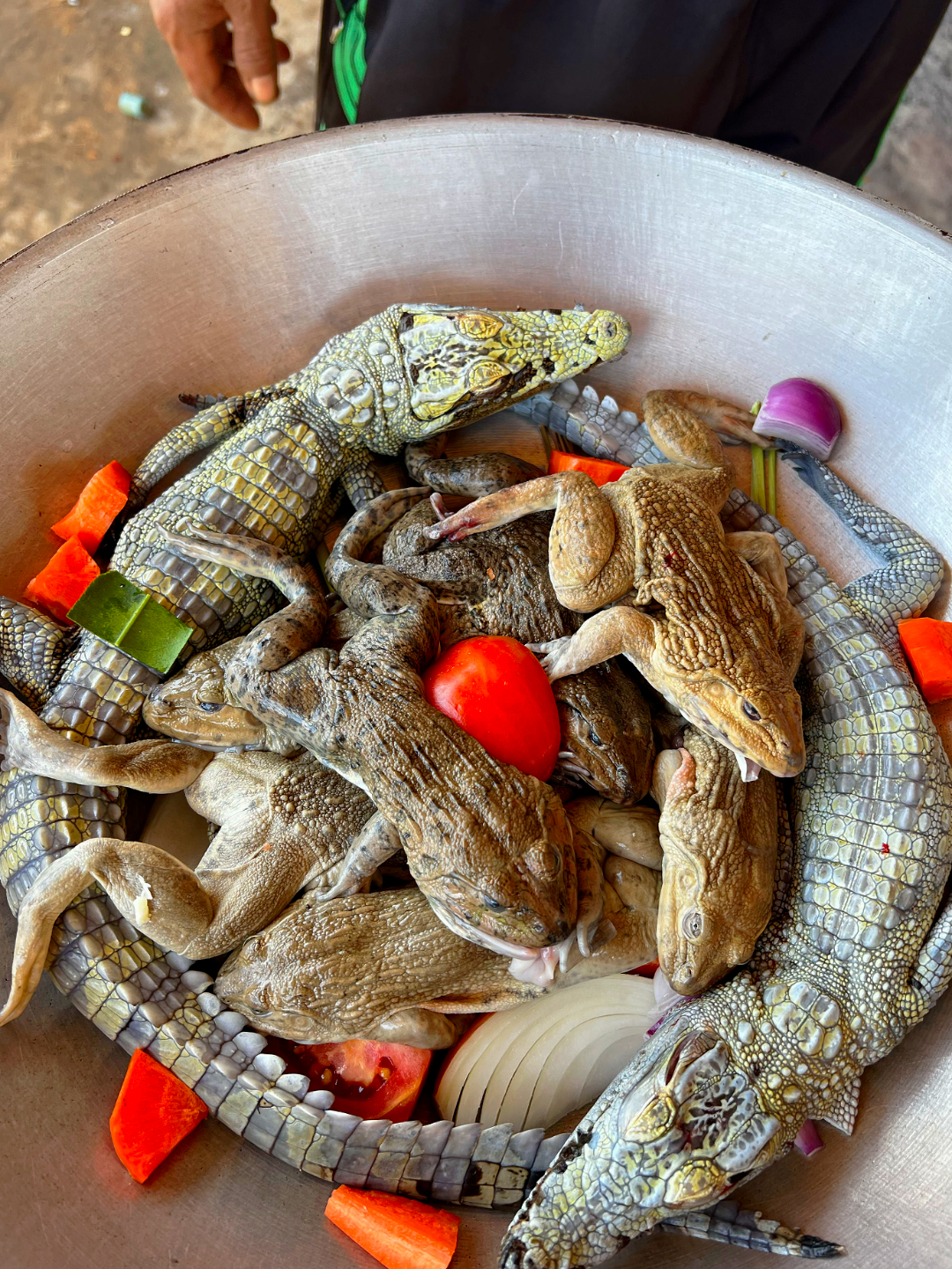 Steamd Frog with C.rocodile Recipe #eat #food #cook