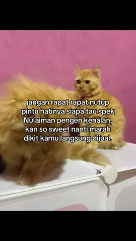 awkwko #fyp #fypシ゚ #fypage #foryoupage #foryou #4u #4upageシ #xyzbcafypシ #xyzabc #xybca #muslimtiktok #muslim #muslimah #hijrah #hijrahyuk #islam #islami #islamic #qoutesislami #qoutes #islamic_video #islamicvideo #lucu #katakata #ngakak #storywa #arabic #islamicquotes 