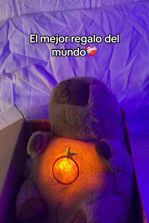 Amo mi peluche capybara que respira ❤️‍🩹 #capybara #peluche #peluchesmusicales 