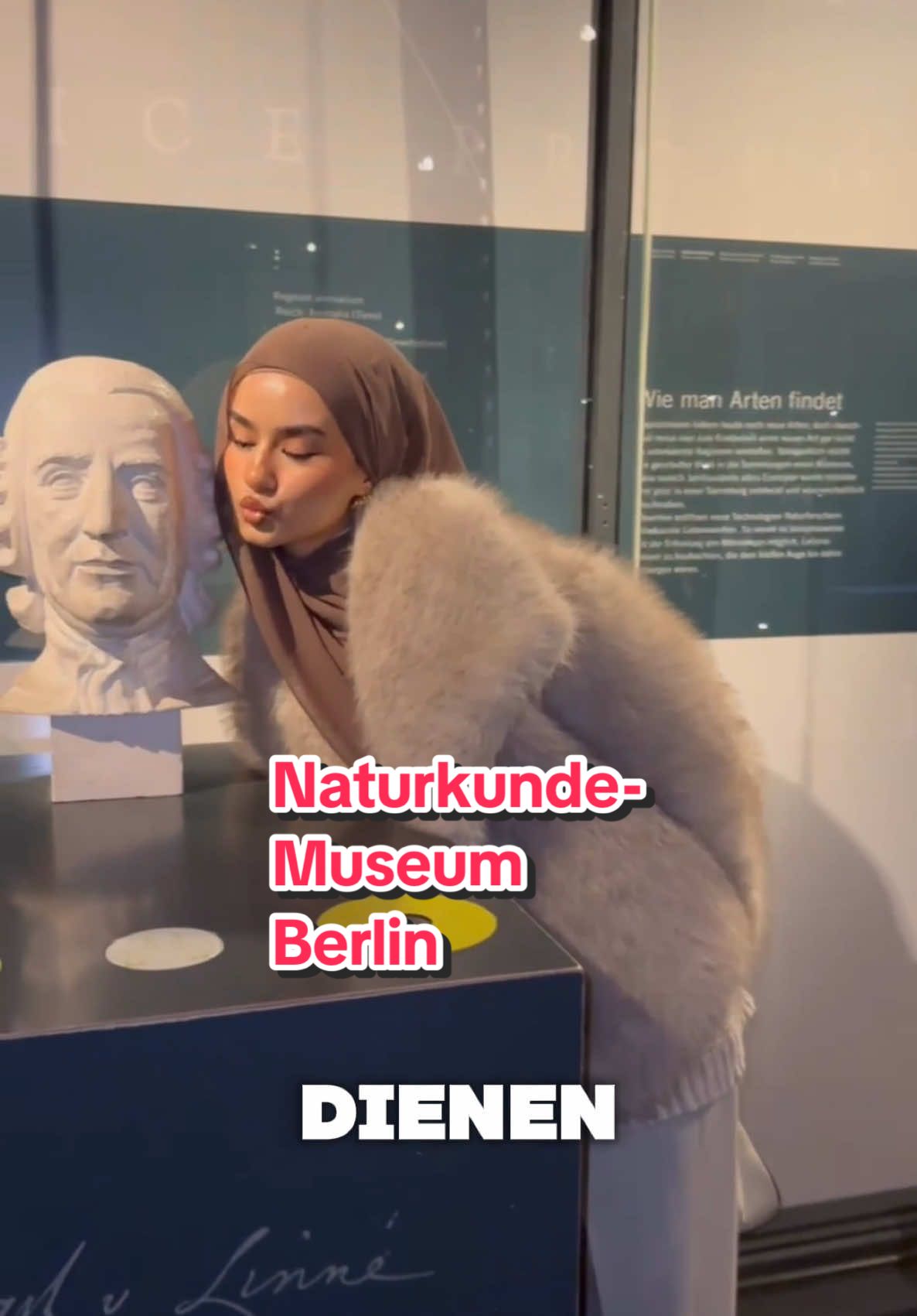 Antwort auf @Sevo95 Bitte hasst mich nicht für meinen letzten Satz 😖😂 die Bilder findet ihr auf IG b3rna_ 🎀 #naturkundemuseum#berlin#berlinaktivitäten#dino#museum#nrw#dateideas#dateideen 