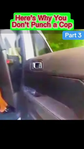 Here's Why You Don't Punch a Cop#copsoftiktok #cops #police #policeofficer #viral #lawenforcementcommunity #lawrnforcement #trending #flypシ #part1 