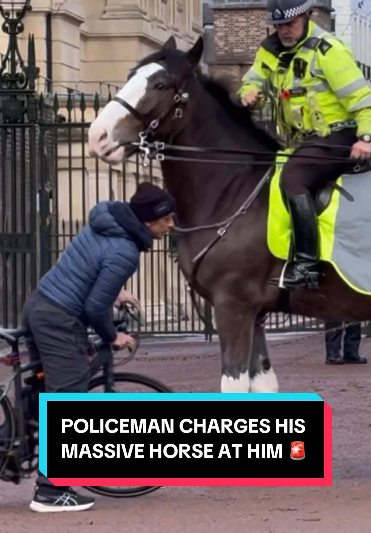 DON’T GET TOO CLOSE TO THE KING’S GUARDS 🛑 #fyp #foryoupage #kingsguard #royalfamily #police #buckinghampalace #london 