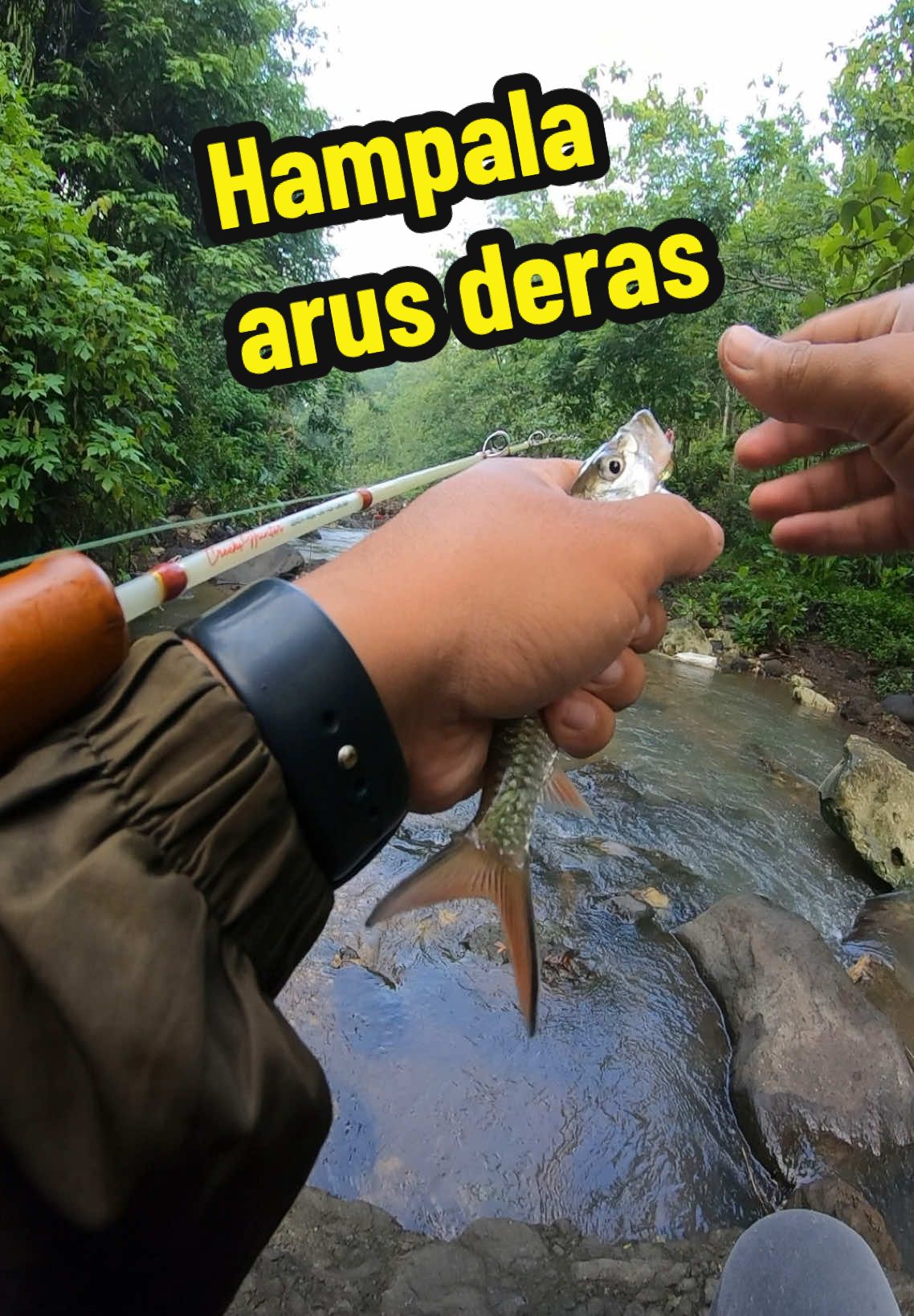 Ikan Hampala emang susah ditebak,  Spot air sejengkal dan berarus begini ternyata juga menjadi temoat mereka berburu ikan” kecil  #anglerindonesia #mancingmania #sudahisedihmumarkmancingbersamaku #hampala #creekshunterjackslite #CapCut 