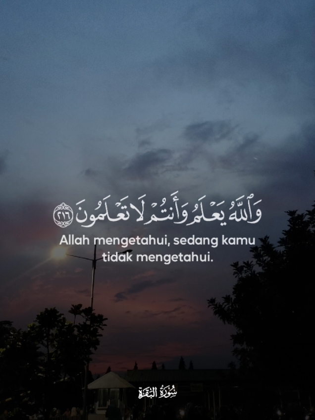 Baca baik baik arti dari ayat alquran ini.. Jika kamu tidak meyakininya berarti ada yang salah dari pola pikirmu 🫣 #quotestory #katakatamotivasi #sadstory #katabijak #katakata #kata #berandatiktokterbaru #beranda #foryouu #sadvibes #for #fy #storykatakata #storywa #storytime #quotes #quotesaesthetic #alquran #albaqarah #ayatsuci #ayatsucialquran 