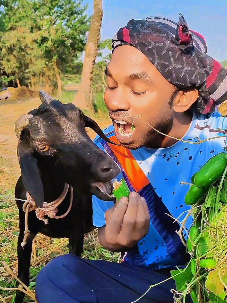 ময়না বড় বড় আঙ্গুর ফল। সেই স্বাদ খাও খাও 🤣😋🫒 #farmer #monirul #highlights