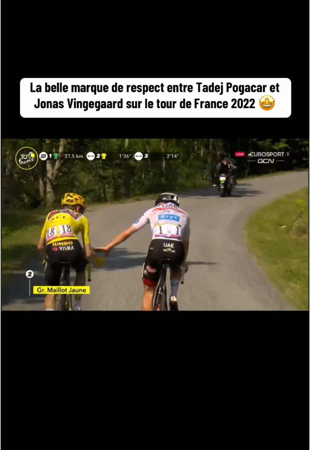 comme deux amoureux! 😂 #fy #cycling #jonasvingegaard #tadejpogacar #TourDeFrance #fairplay 