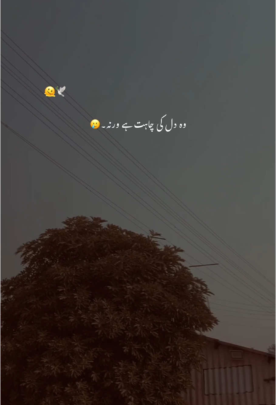 وہ دل کی چاہت ہے۔🥺 #foryoupage #foryou #trending #aesthetic #account #poetrystatus #grow #hehe_feroz 