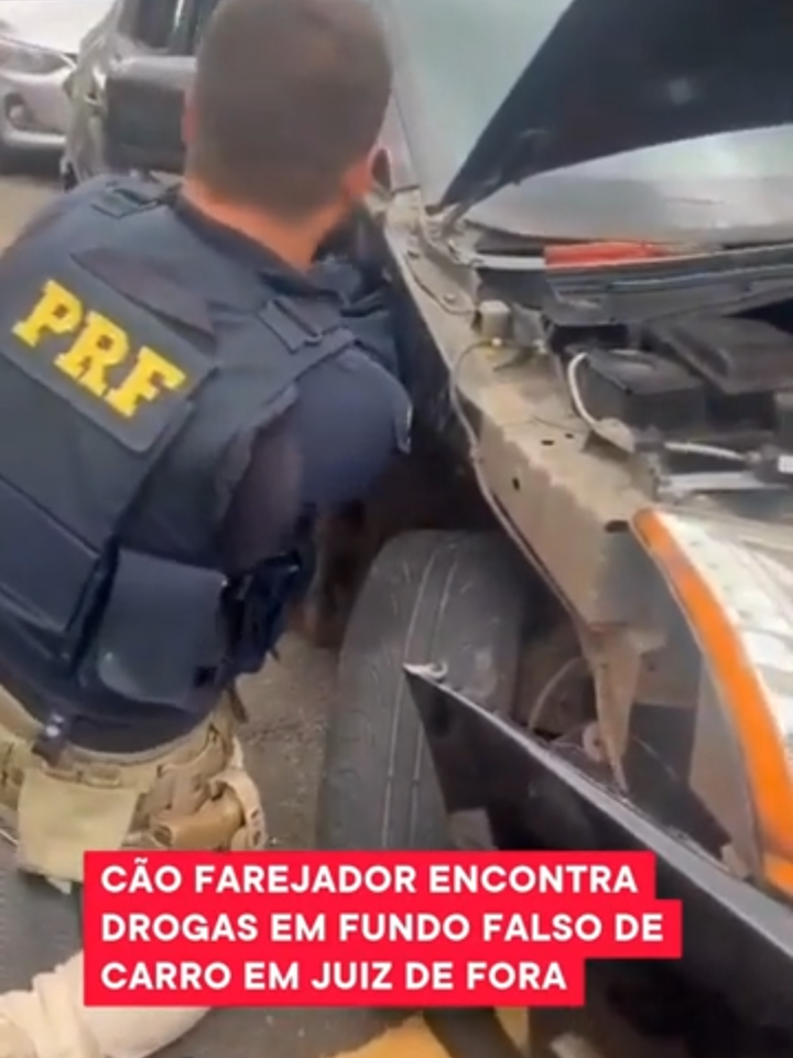 APREENSÃO | Na manhã desta segunda-feira (16) no km 781 da BR-040, a Polícia Rodoviária Federal apreendeu 16 barras de maconha que seriam entregues na cidade de Juiz de Fora. A droga foi localizada com a ajuda de um cão farejador. O homem que conduzia o carro, foi preso. 📲 Leia mais em itatiaia.com.br 📹 PRF #PolíciaRodoviária #Apreensão #Maconha #JuizdeFora