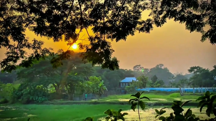 প্রকৃতির মায়ায় নিজেকে, আর আটকে রাখতে পারলাম না,💖🥀 #fypシ゚viral #foryou #viralvideo #Jahidsikdar507 #trending_sound❣💓 #ফরইউতে_দেখতে_চাই_প্লিজ🙏 #সাপোর্ট_করলে_সাপোর্ট_পাবেন @tiktokIDofficial 