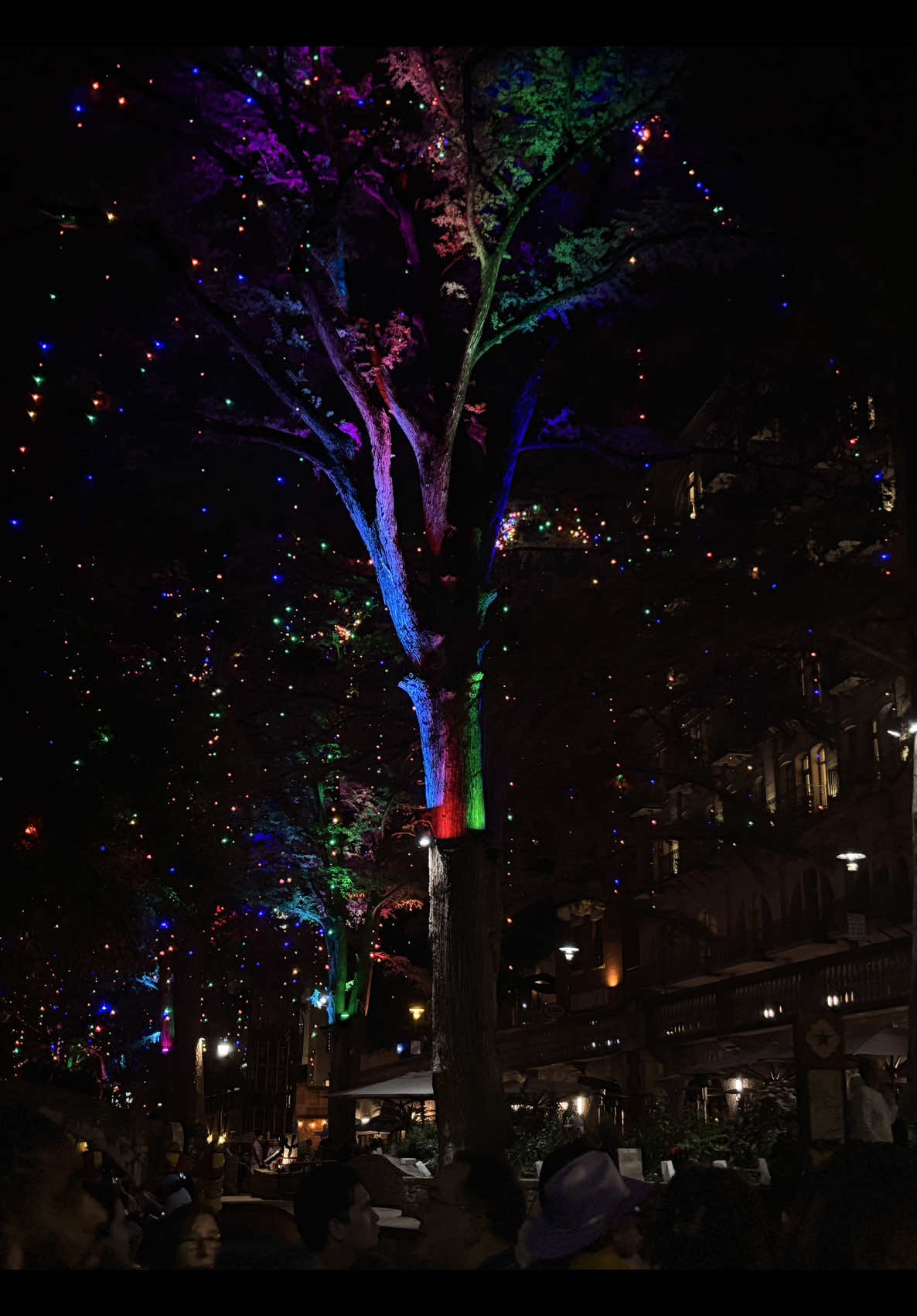 Boat rides in decemeber ✨🎄✨❄️ #riverwalk #lights #christmaslights #christmas #fyp #fypp