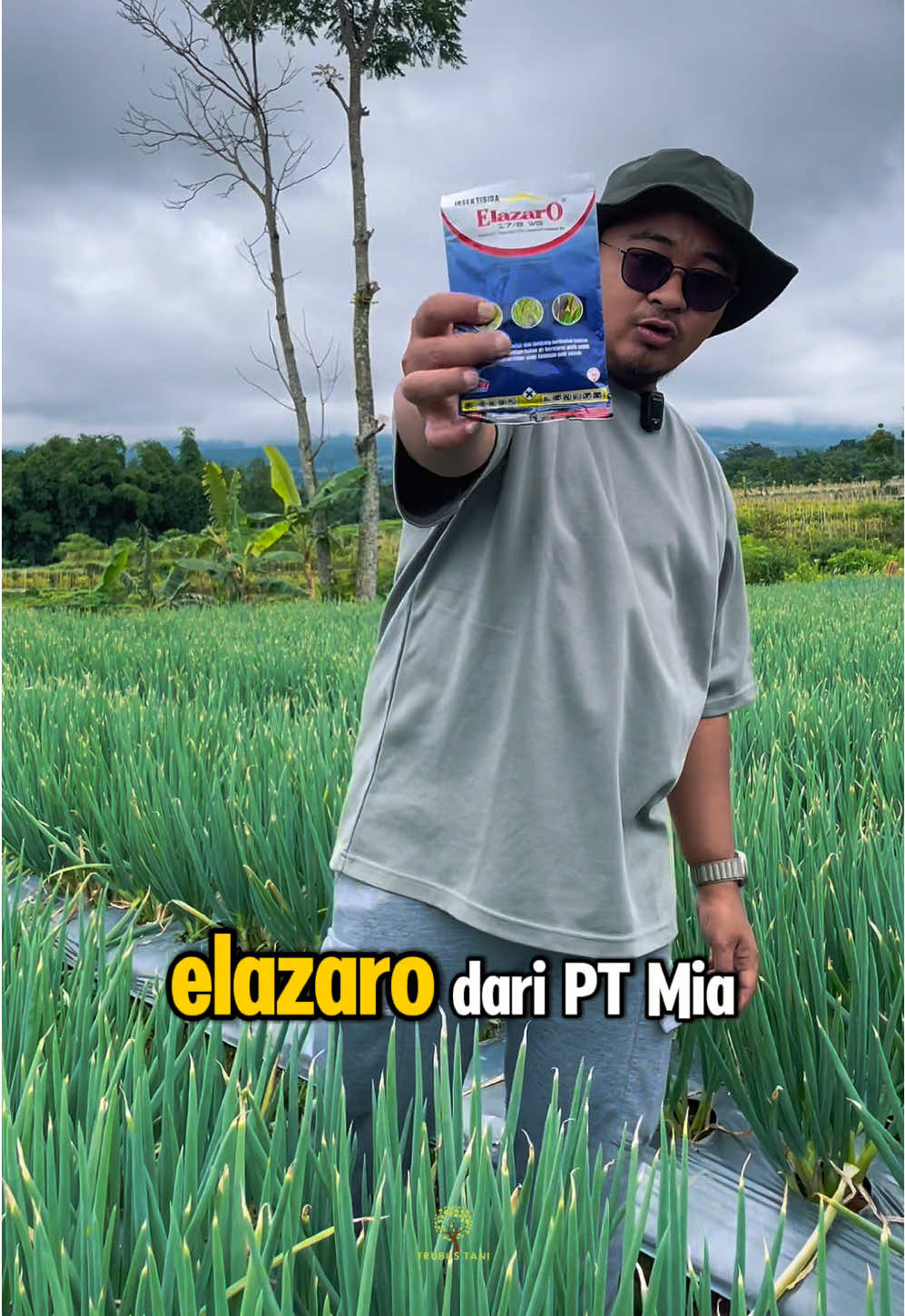 ElazarO adalah insektisida racun kontak dan lambung yang berbentuk butiran dan berwarna putih. Insektisida ini dapat disuspensikan dalam air untuk mengendalikan hama pada tanaman padi sawah. ElazarO Bahan aktif Indoksakarb 17% + emamektin benzoat 8% Berat bersih 50 gr Insektisida merupakan bahan yang mengandung senyawa kimia untuk mematikan serangga. Insektisida dapat dibedakan menjadi organik dan anorganik. Insektisida organik mengandung unsur karbon dan umumnya bersifat alami. #challenge #viralvideotiktok #cabe 