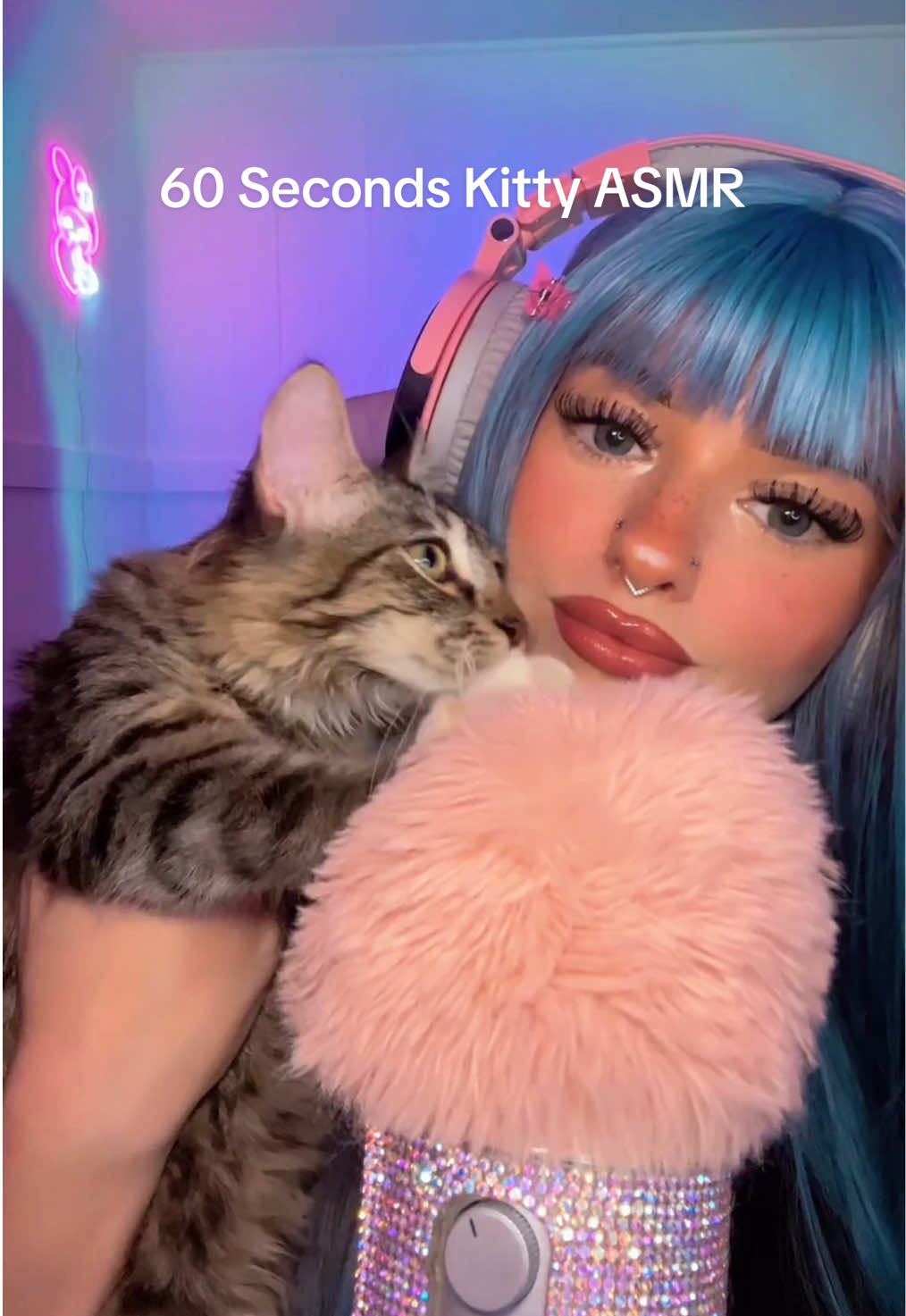 this lil asmrtist takes his work very seriously✨😻#makingbuiscuits#kittyasmr#purringasmr#foryou#kneadingcat#catasmr#kneadingasmr#relaxingsounds#asmrlive#kittenpurring#asmrsounds #pinkpixieasmr#pixieasmr