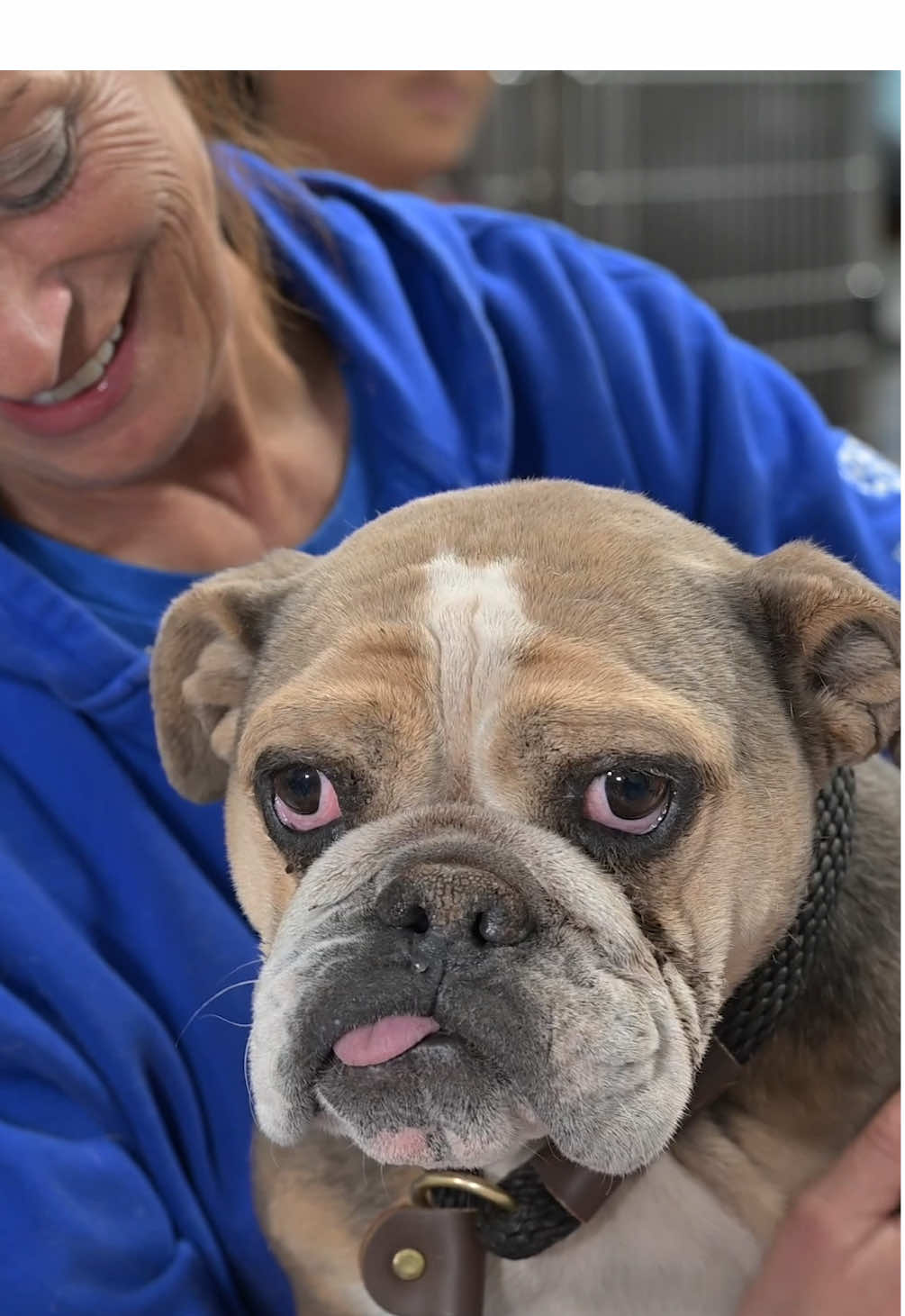 Together, we can stop the cycle of animal cruelty. 💪 Our Animal Rescue Team recently rescued HUNDREDS of animals from a suspected cruelty and neglect situation in Oklahoma.   The animals are safe now, but the road to healing is long and they need your help!  🙏 Give today using the link in our bio to support them and our mission.
