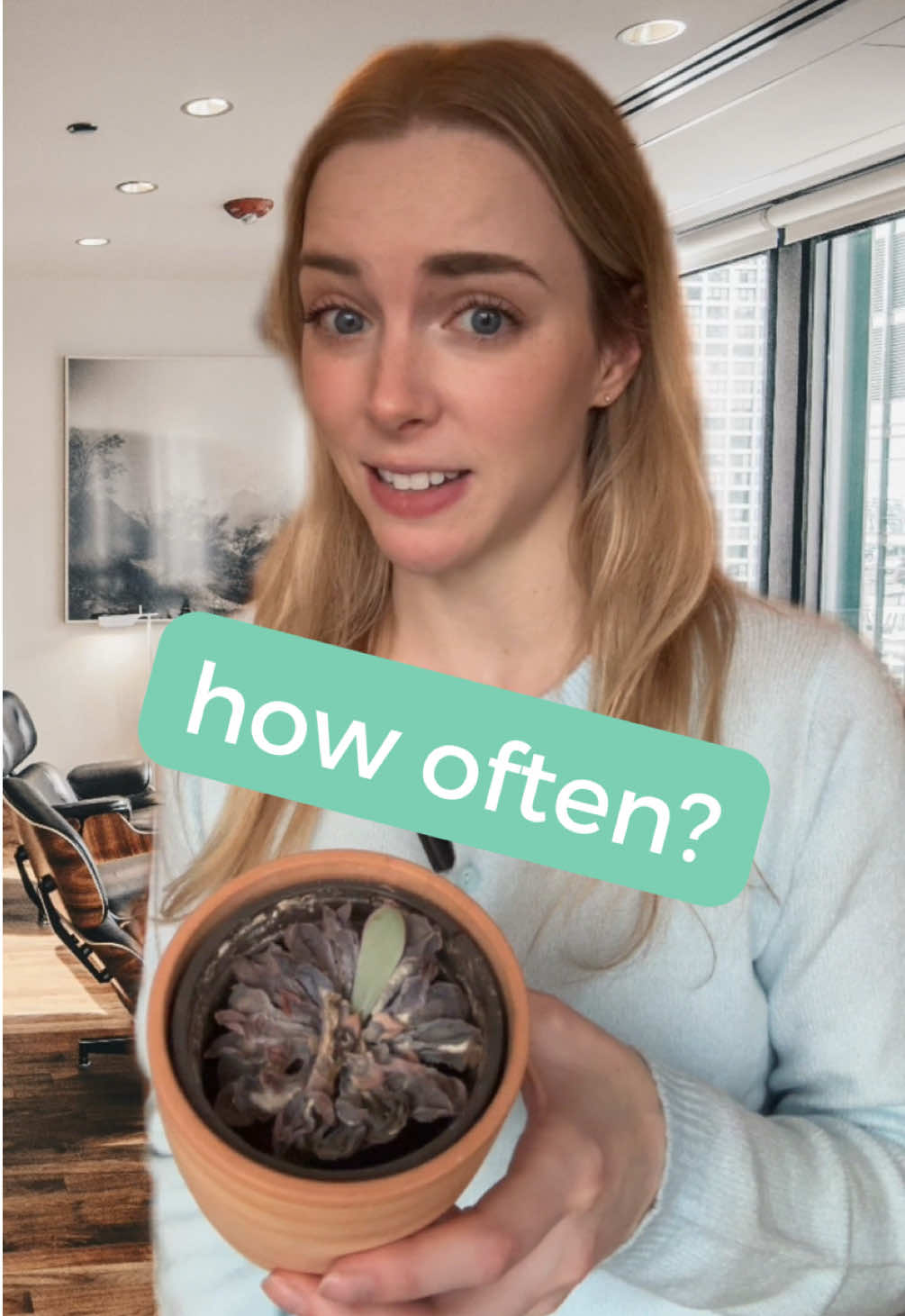 “How often?” can often confuse English learners! 🤔 Now you practice 👉 How often do YOU water your plants? 🪴 Disclaimer: no plants were *intentionally* harmed for the making of this video 😳 #english #englishteacher #learnenglish #englishlanguage #englishvocabulary #englishlearning #englishtips #englishclass #englishlesson #englishgrammar 