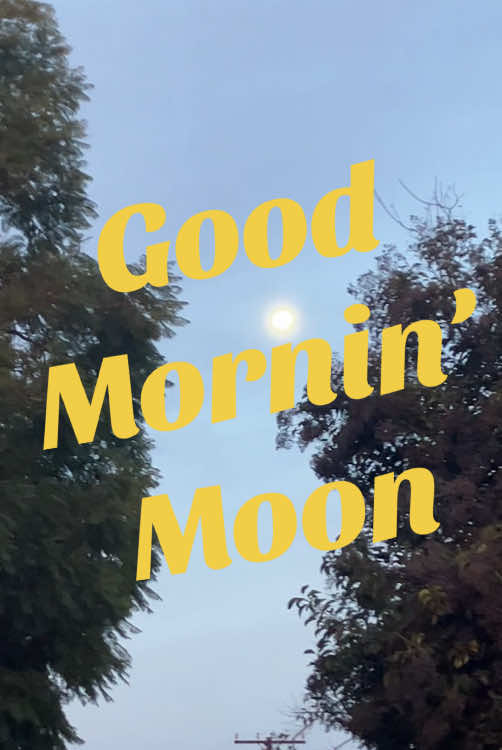 Good Mornin’ Moon! Good Mornin’ Room Good Mornin’ Light and the Red Balloon… #goodnightmoon #vanmorrison #michaelbublé  #walkthedog  #december #decembermorning 