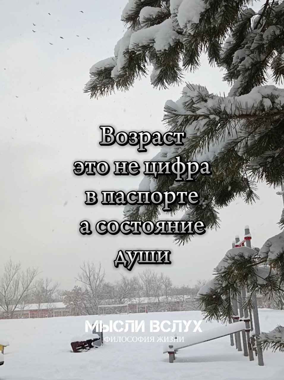 Возраст-это не цифра в паспорте,а состояние души❤️ #мысливслух  #цитатысосмыслом  #философия  #жизнь  #возраст  #👍👍👍  #🙏🙏🙏  #💯💯💯  #❤️❤️❤️ 