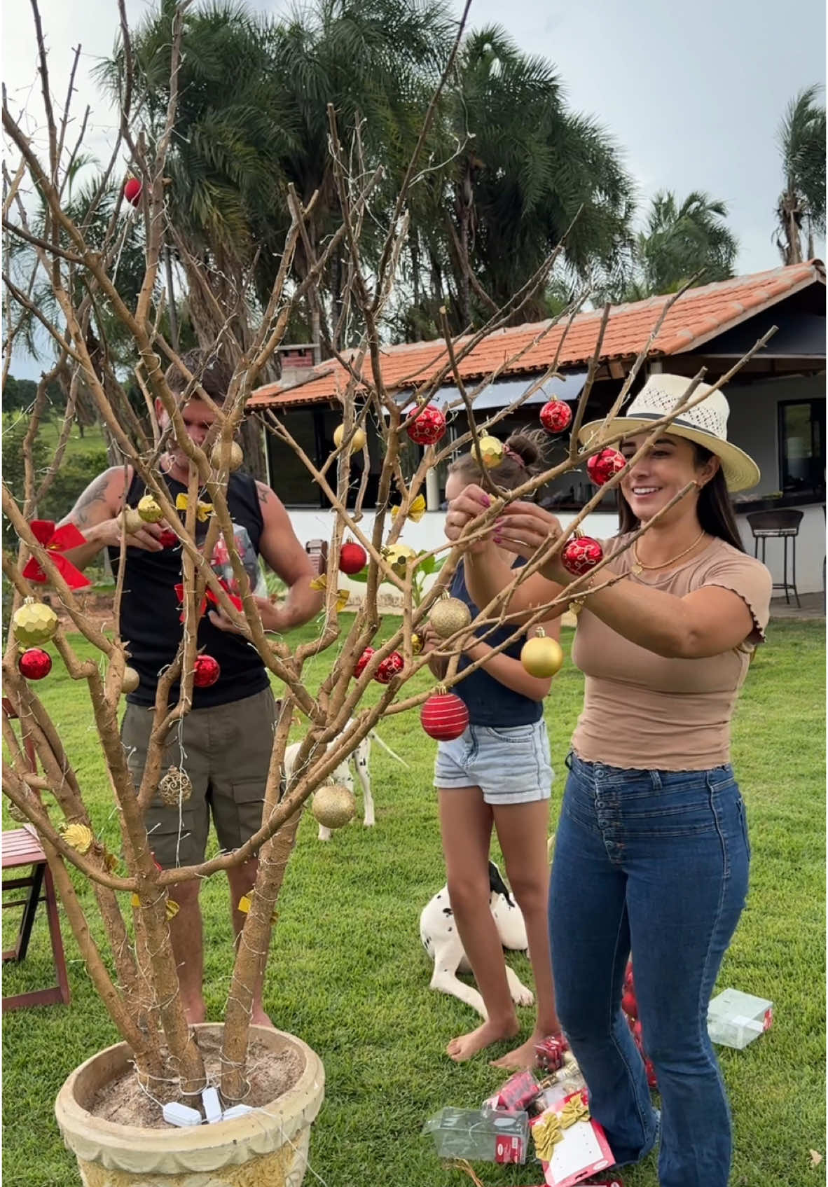 Esse ano optamos por construir a nossa própria árvore de natal😍  Reaproveitamos uma árvore seca e o resultado ficou incrível. E eu encontrei tudo que eu preciso para enfeitar a nossa árvore na @americanas  Lá você encontra várias opções de árvores, enfeites e os melhores itens para presentear quem a gente ama. E o melhor, dá para garantir tudo isso nas lojas, site ou app Americanas #NatalAmericanas #Publicidade