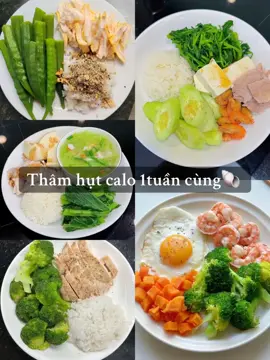 #xuhuong #xaykenhtiktok   Ăn gì để TẾT đẹp mùa này 🥗🥗 Thực đơn sưu tầm cho ce #gianhi #nioslim  #sirohuongnuoccam  #giamcantunhien #antoanhieuqua  #phunusausinh 