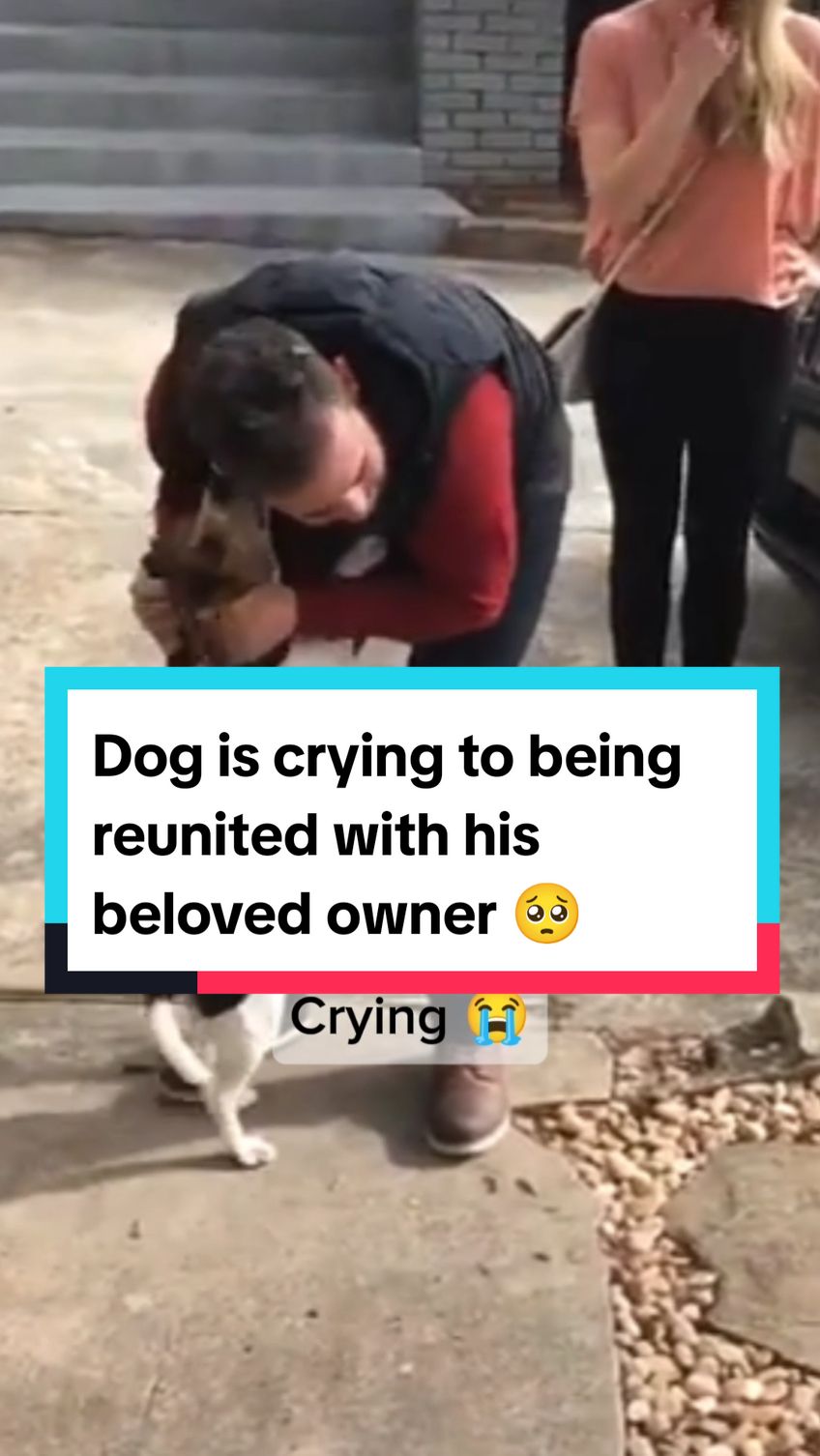 Most Emotional Reunions Between Dogs and Their Beloved Owners 🥺❤️ #dog #dogsoftiktok #doglover #dogtok #doggo #dogs #doglove #reunion #reunited #owner #dogmom #dogdad #emotional #crying #heartwarming #reunion #wholesome #moments #reaction #fyp #foryoupage #fypシ 