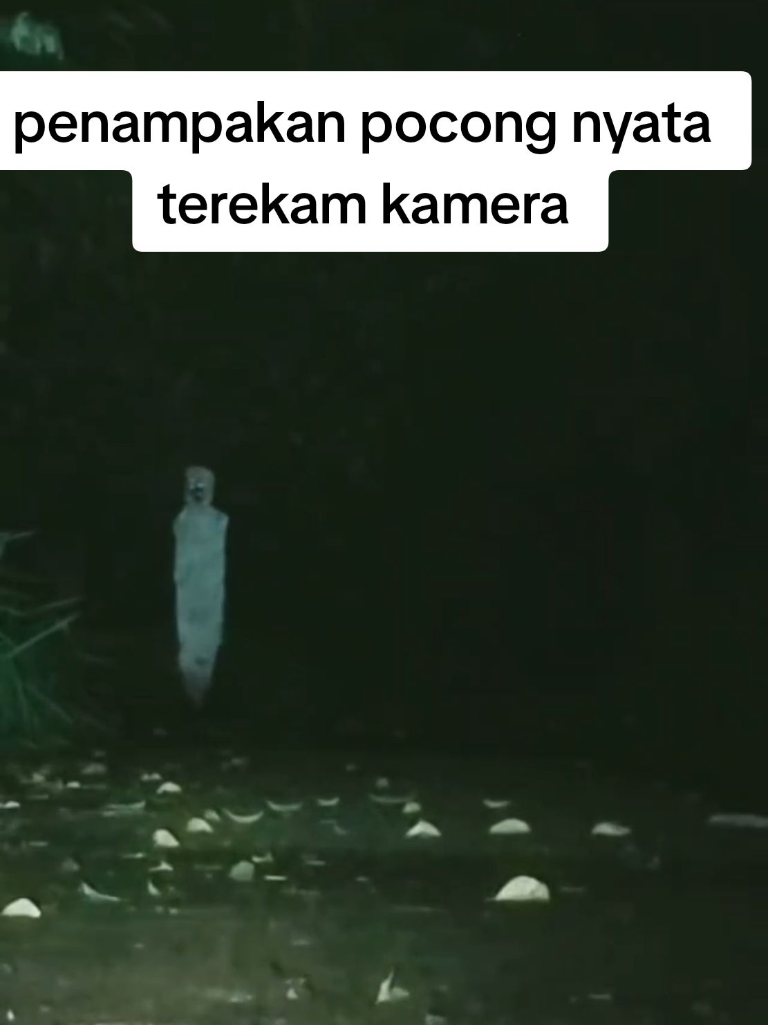 penampakan pocong nyata terekam kamera  #vyp #horor #seram #pocong 