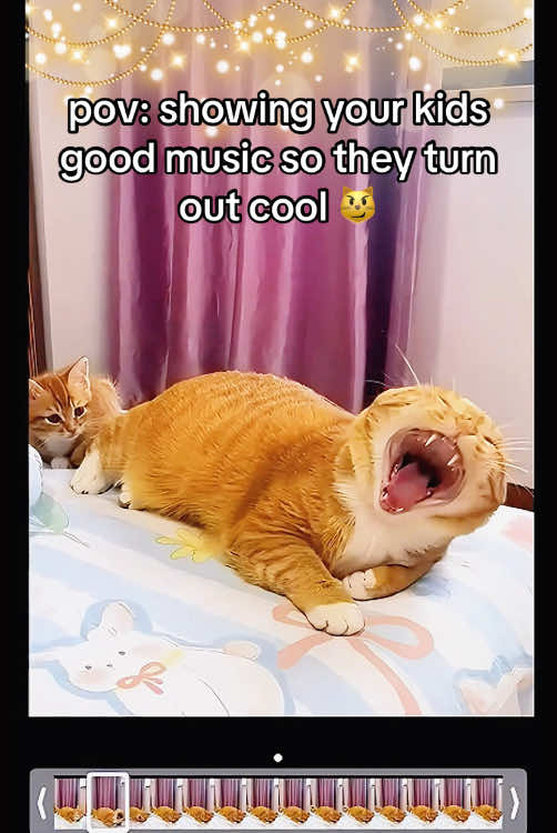 Metalhead kid 😼🤘🔥 #metalcat #singingcat #systemofadown #chopsuey #orangecat #fyp #kittens #Viral 