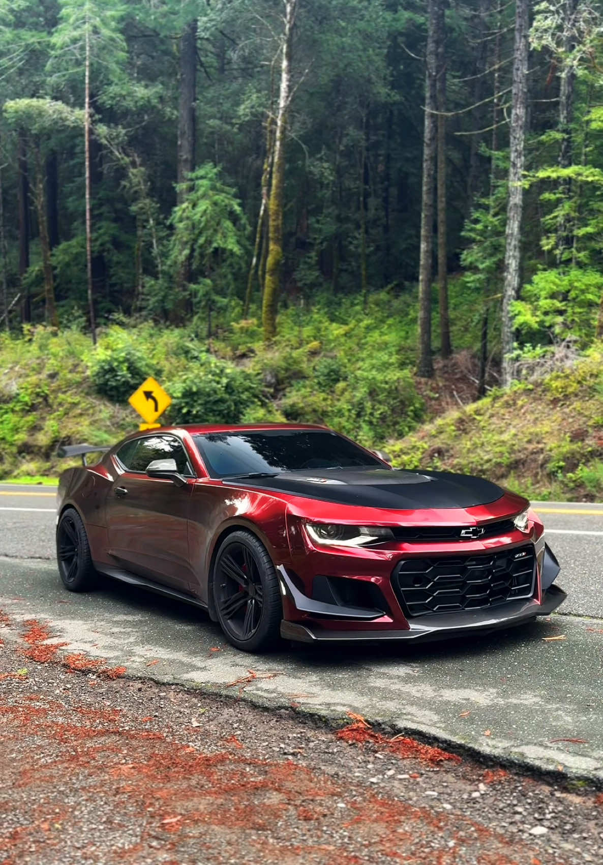 Killshot🫦 #camaro #camarozl1 #camarozl1 #camarozl11le #zl1 #zl11le #zl1camaro #6thgencamaro #chevrolet #chevroletcamaro #chevy #camaros #musclecar #foryou #fyp