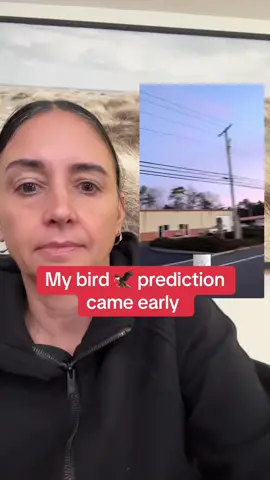 #greenscreen bird prediction #spirituality #usa_tiktok #psychic #endoftheworld 
