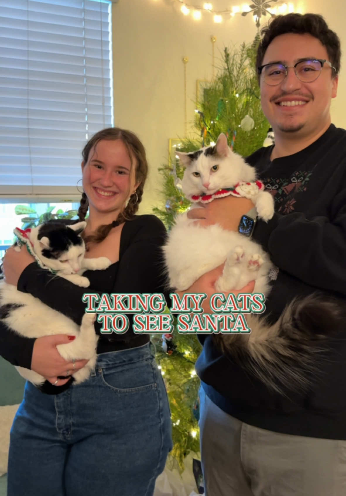 Visiting Santa @PetSmart 🎅😸 #cat #catsoftiktok #santapaws #fyp #christmas #CapCut 