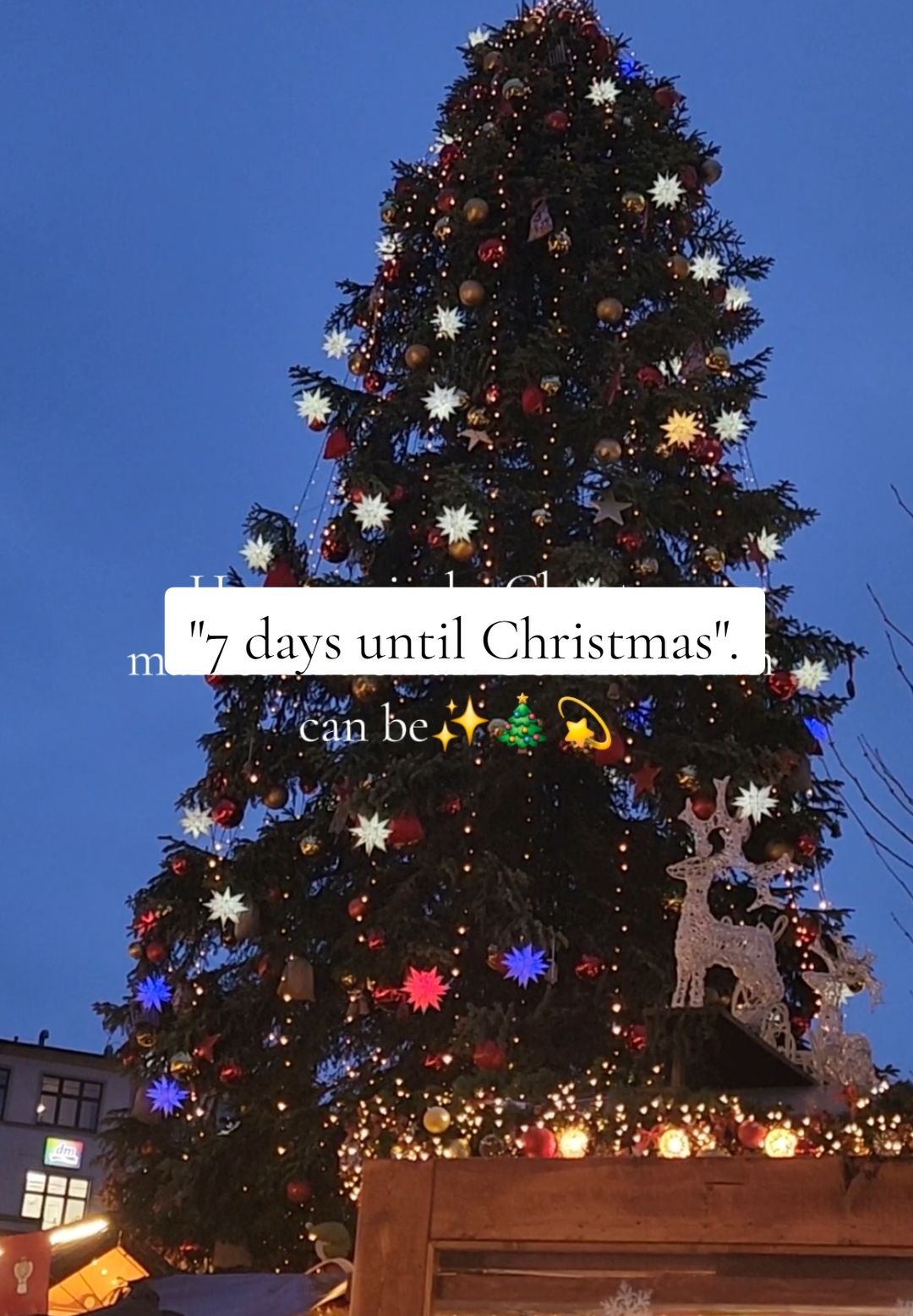 7 days until Christmas ✨️🎄💫 #creatorsearchinsights #christmas  #christmasgermany #christmasvibes  #weihnachtsmarkt  #christmastiktok 