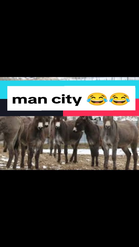 #mancity #squad #funny #🤣🤣🤣 #videoviral #fyyyyyyyyyyyyyyyy #manchestercity #🤣🤣🤣 #foryoupage❤️❤️ #manchestercity #🤣🤣🤣 