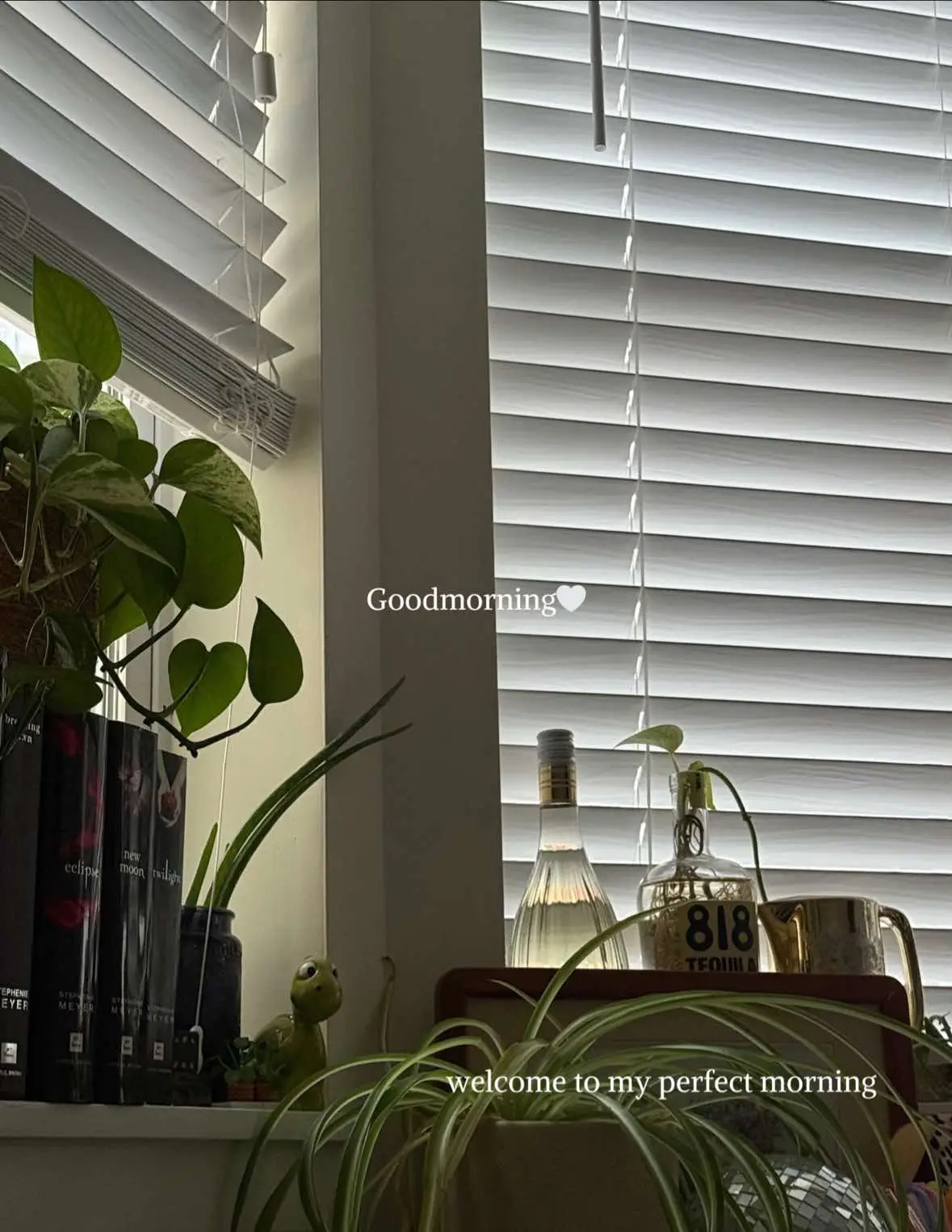 Sharing my perfect morning that I have created the past couple of months. I hope your morning routine serves you joy and motivation, and if it doesnt it is never too late to change!! Dont be afraid to put yourself first, you deserve it🩷 #spendthemorningwithme #morningroutine #SelfCare #healthyliving #MentalHealth #dailyvlog #DailyRoutine #hotyoga 