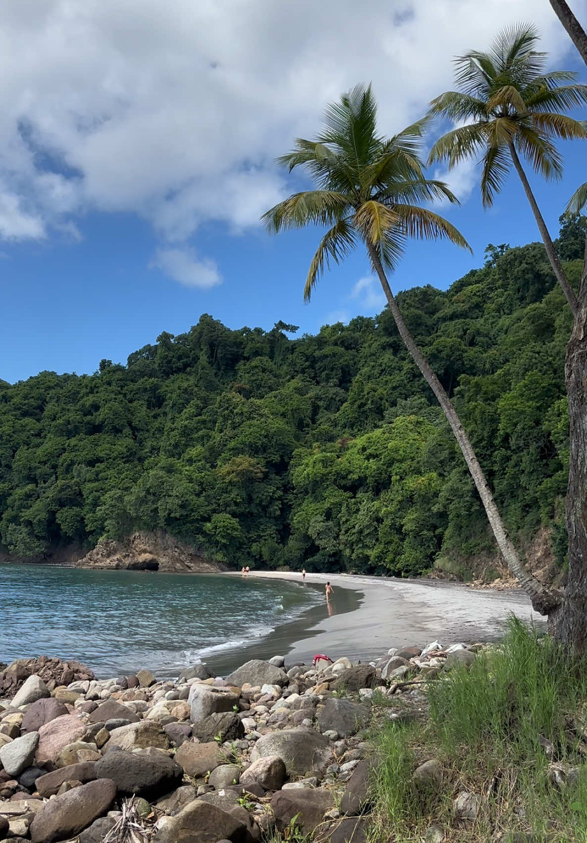 Au cœur du Nord de la Martinique, à l’Anse Couleuvre. Une plage sauvage de sable noir, offre un spectacle unique où la végétation luxuriante domine. 🌴🪨🦀 #foryou #pourtoi #fyp #martinique #martinique972 #madinina #antilles #island #travel #voyage #972 #westindies #aventure #explorer