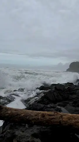 The waves of the sea will set your mind at ease 🙌  #ocean #sea #waves #oregon #pnw #oregoncoast #explore #adventure #calm 