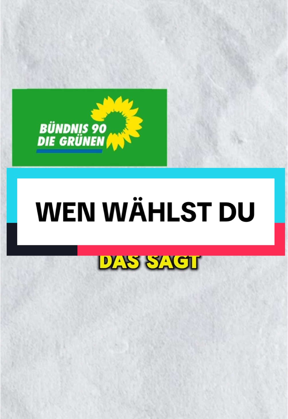 Wen wählt ihr 😂 es ist Satire, also alles entspannt #partei #parteien #wahlen #fdp #grüne #cdu #linke #spd #deutschland #satire #komedie 