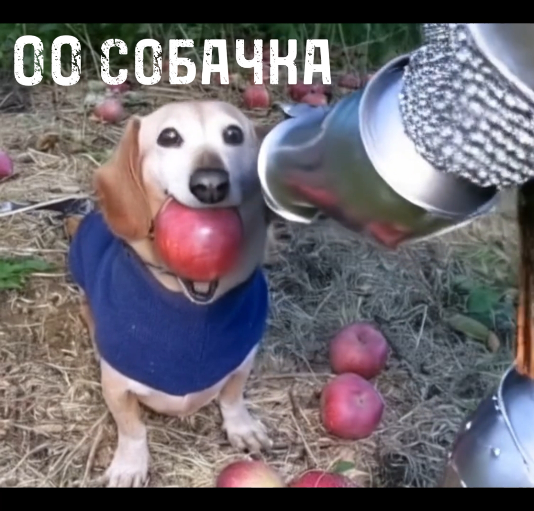 Легендарная встреча. #darkfantasy #appledog #darkfantasyromance #DARKFANTASY #Memes #MiddleAges #neuralnetworks 