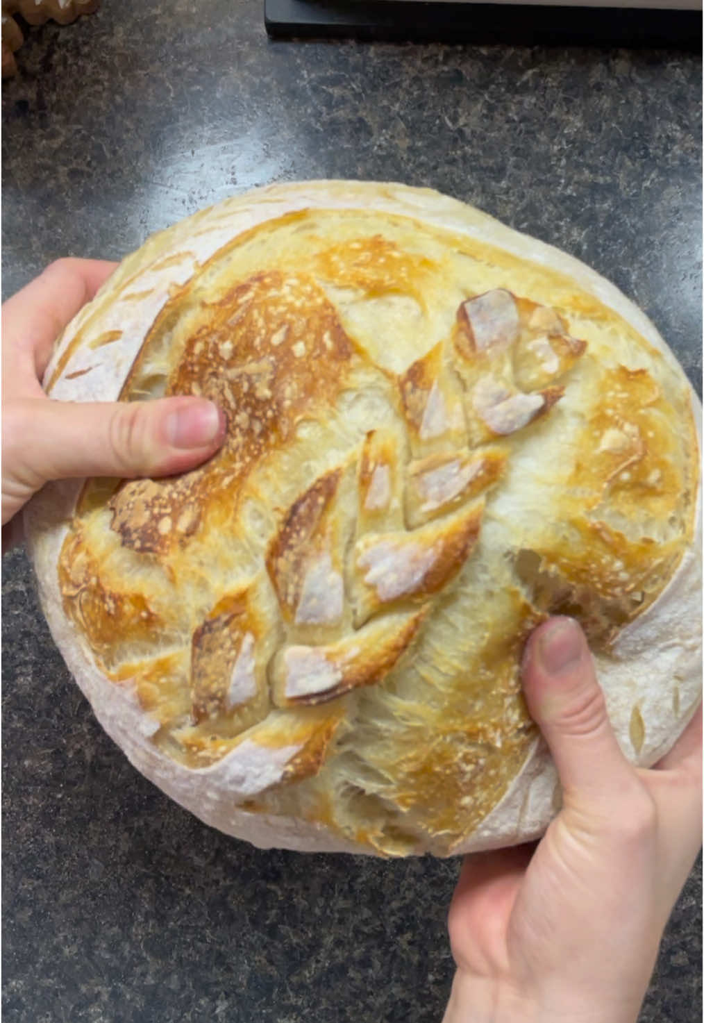 Score this cutie braid loaf with me🥰#sourdoughcreation #sourdoughscore #sourdoughscoreideas #baking #breadcrunch #sourdoughASMR #creatorsearchinsights 