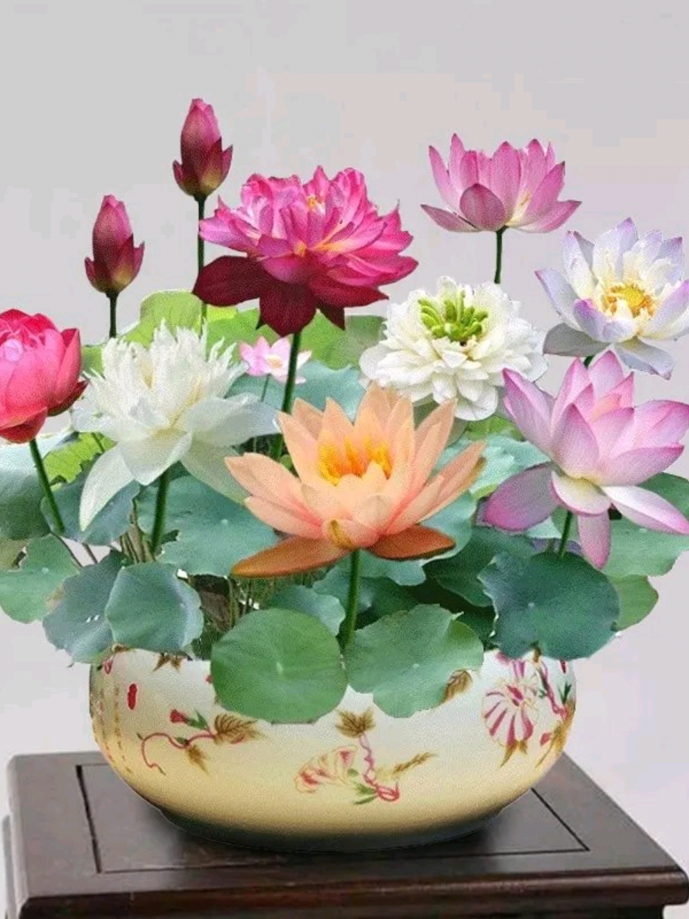 🌸Last Day Sale - 49% OFF💐The Sacred Bonsai Bowl Lotus Flower