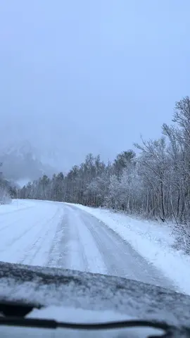 This is Norway road  . . . #wintervibes #norway #visitnorway #paradise #fyp #norge #arctic #snow #winterishere #norge #tromsø #northernnorway #roadtrip 