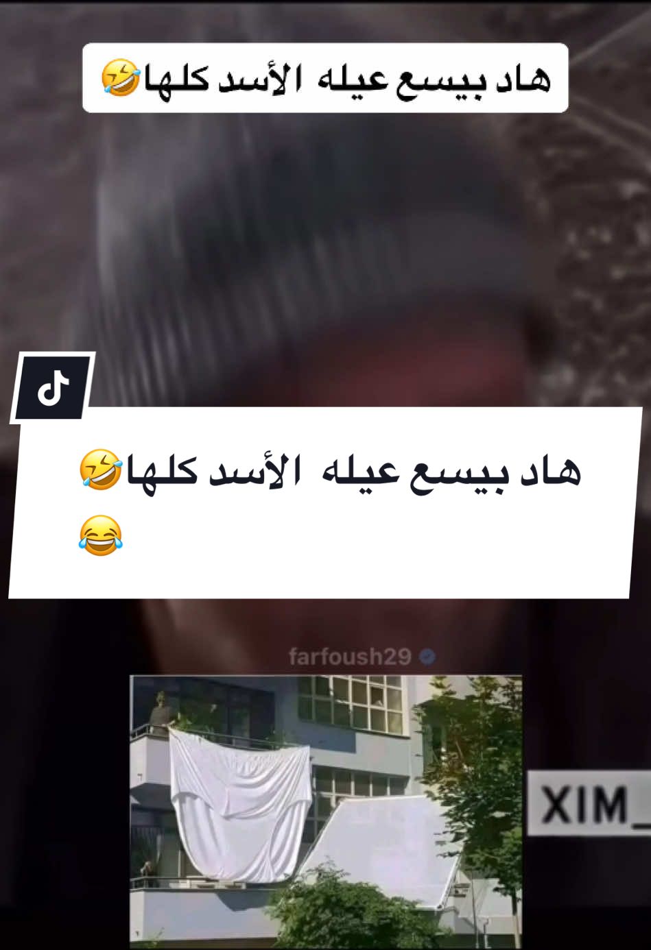 #CapCut @بشورة  هاد بيسع عيله  الأسد كلها🤣😂 #foryoupage #foryou #fyp #viral #اكسبلور #tiktokarab #محمد_الجبلي #سوريا 