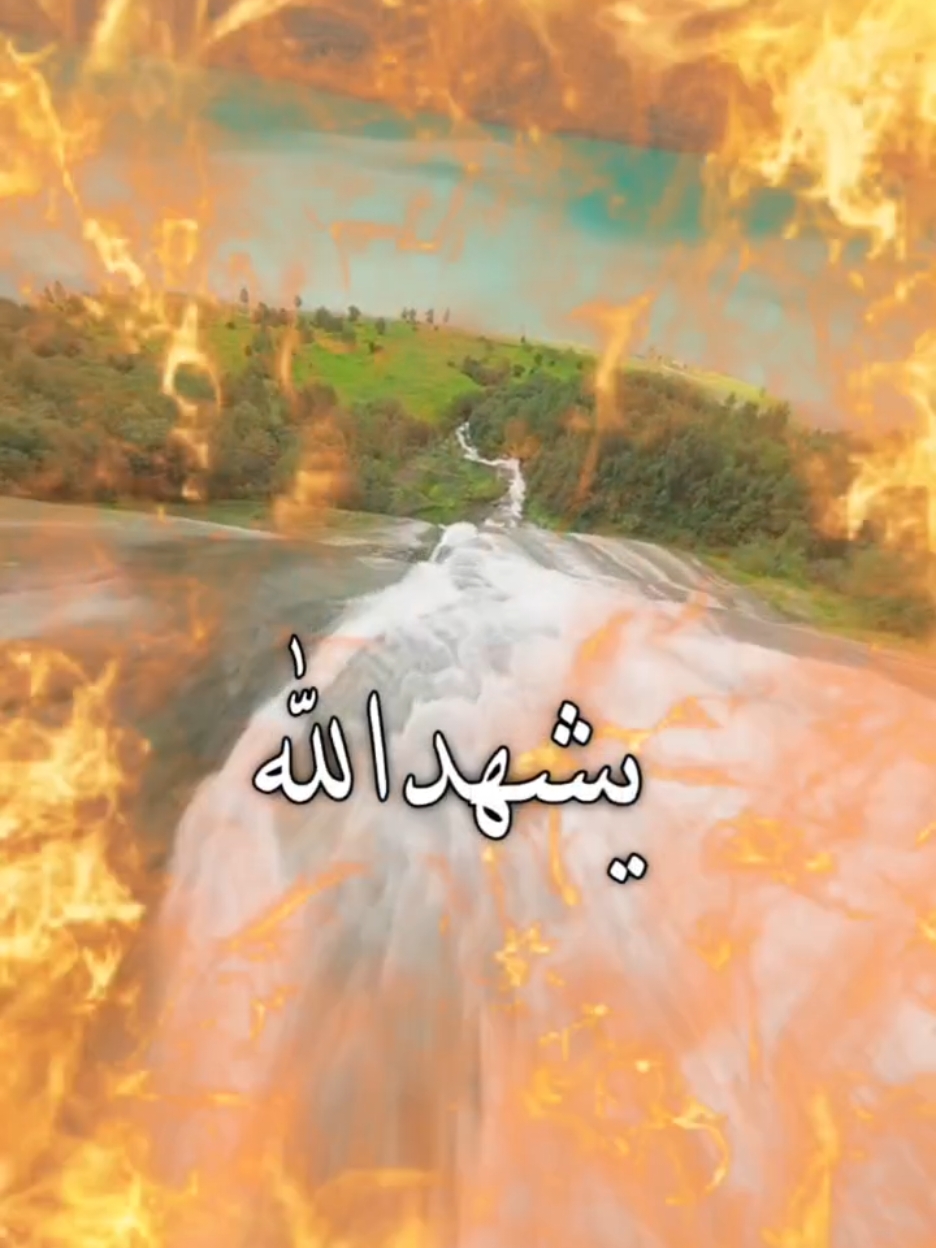 يشهد الله#قوالب_كاب_كات_جاهزه_للتصميم #فيديوهاتي_تصاميمي🎶🎬 #قوالب_فيفا_كات #قوالب_كاب_كات_جاهزه_للتصميم__🌴♥ #قوالب_كاب_كات #قوالب #طناخة #ترندات_تيك_توك #ترندات #ترند_تيك_توك_مشاهير #ترندات_تيك #ترندات_جديدة #موسيقى #موسيقى🎶 #موسيقى_تيك_توك #الشعب_الصيني_ماله_حل😂😂 #الشعب_الصيني_ماله_حل😂 ##قالب #قالب_كاب_كات #قالب_جاهز_نار🔥 #قالب_كاب_كات_جاهز #قالب_كاب_كات_نار_جاهز_استخدموه #قالب_جاهز_للاستخدام #قوالب_كاب_كات ##حب #حب_من_أول_فنجان #حبيبتي #حب_بلا_حدود #حبيبي❤️ #حبيت #حبيبي🤍💍 #حبايبي #حبي #حبيب_العازمي #fypシ #fypシ゚viral #استخدم #استخدم_القالب_على_صورتك_وشاهد_الروعه #استخدمو_القالب #استخدمو #اغاني #اغاني_مسرعه💥 #Sing_Oldies #اغاني_حب #اغاني_بدون_موسيقى #CapCut 