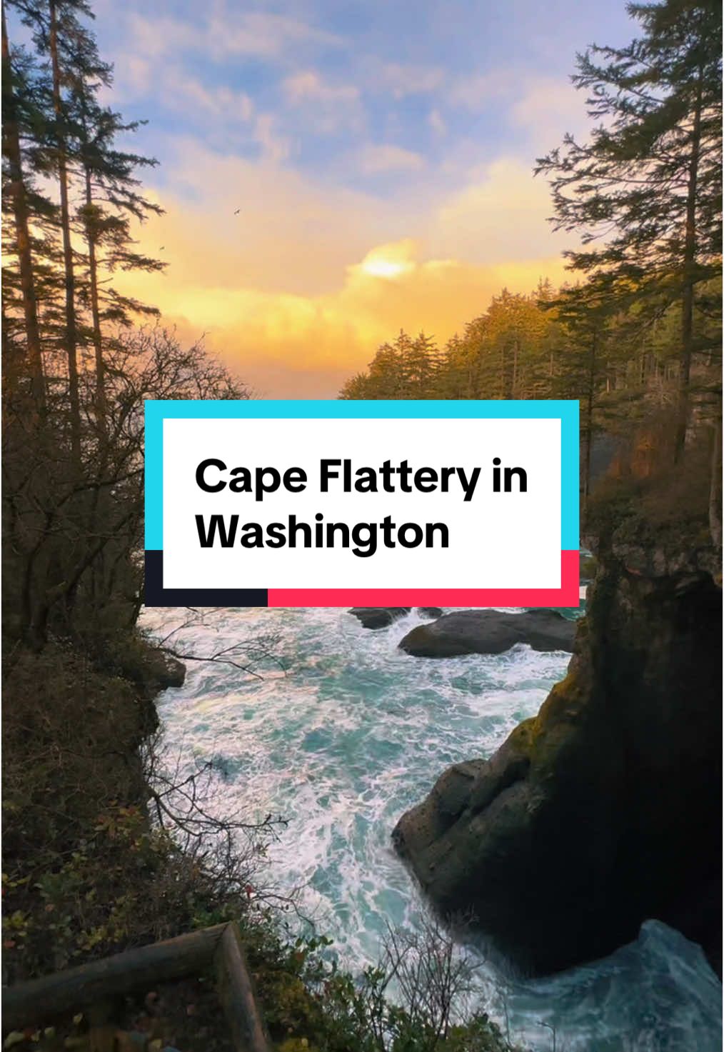 For those who love coastal adventures Cape Flattery offers incredible hiking and stunning ocean vistas.  🎥 @drewpdutton  #naturelover #hike #washingtonstate